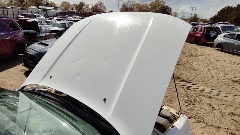 1995-1999 Subaru Legacy/ Outback Hood