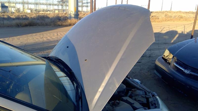 2004-2005 Honda Civic (see Also Delsol & Crx) Hood