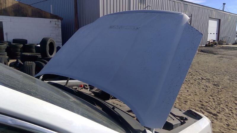 2010-2015 GMC Terrain Hood
