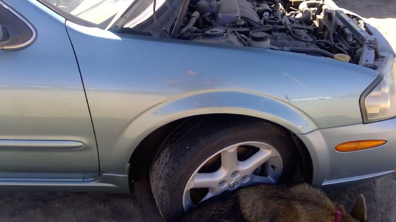 2000-2003 Nissan Maxima Fender RH