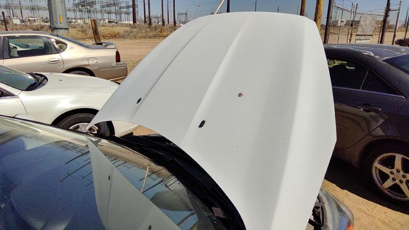 2015-2018 Ford Focus Not RS Hood