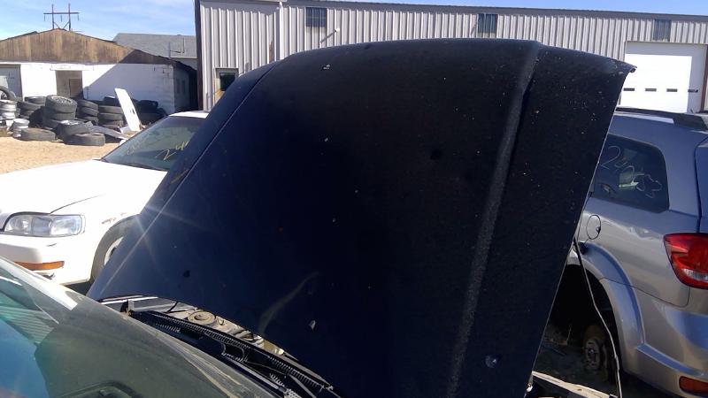 2001-2002 Subaru Forester Hood