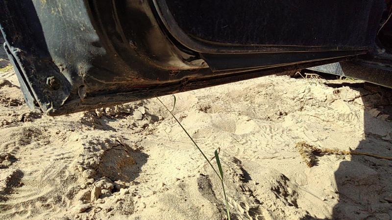 1982-1992 Camaro Front Door LH