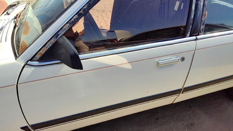 1982-1989 Buick Century Front Door LH