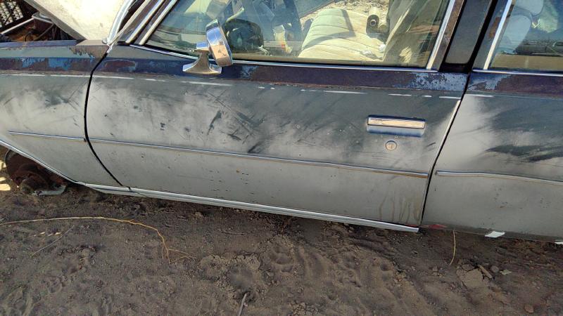 1977-1979 Chevrolet (full Size) Front Door LH