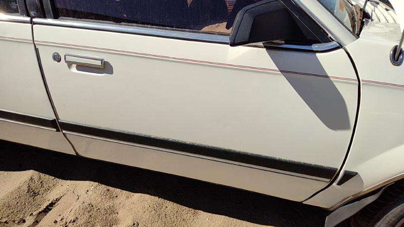 1982-1989 Buick Century Front Door RH
