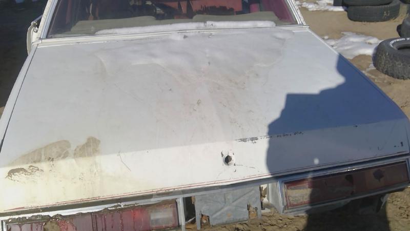 1978-1980 Regal (also See Somerset 85-87) Trunk/Decklid/Hatch/Tailgate