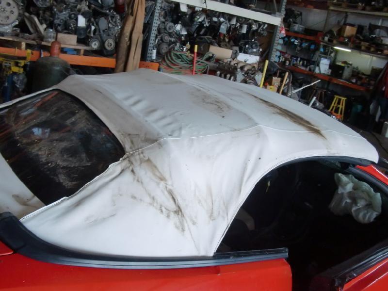 1999-2004 Mustang Rear Bumper Assembly