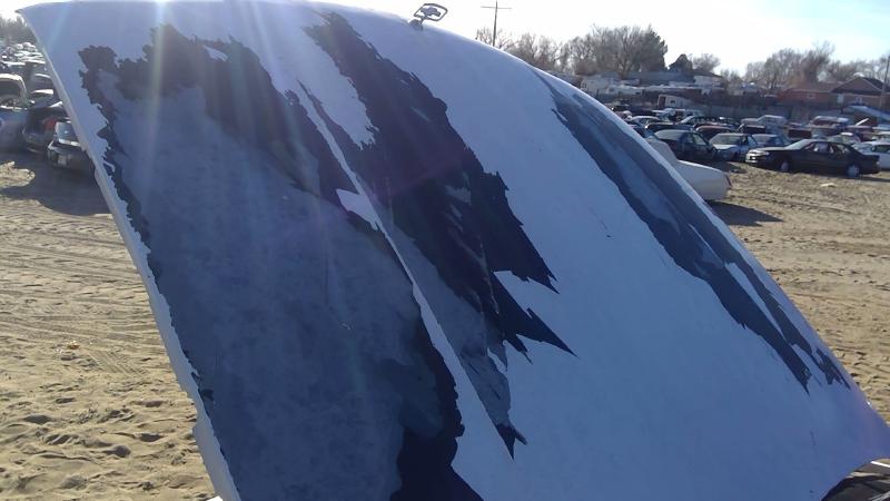 1991-1996 Chevrolet Caprice (80 & Up) Hood