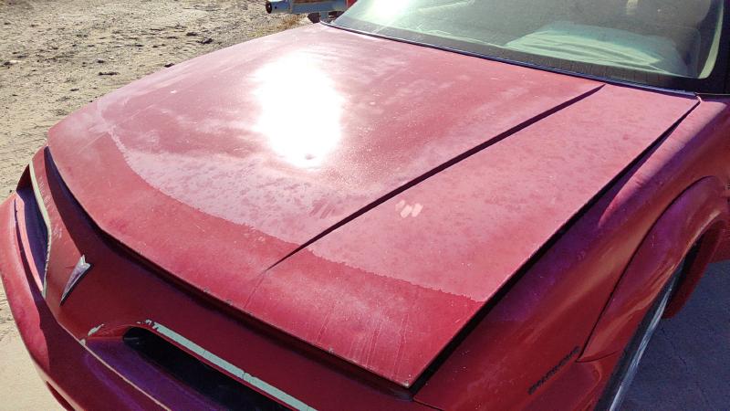 1988-1996 Grand Prix Hood