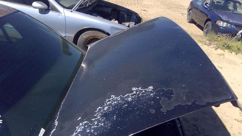 1991-1996 Buick Park Avenue (80&up) Trunk/Decklid/Hatch/Tailgate