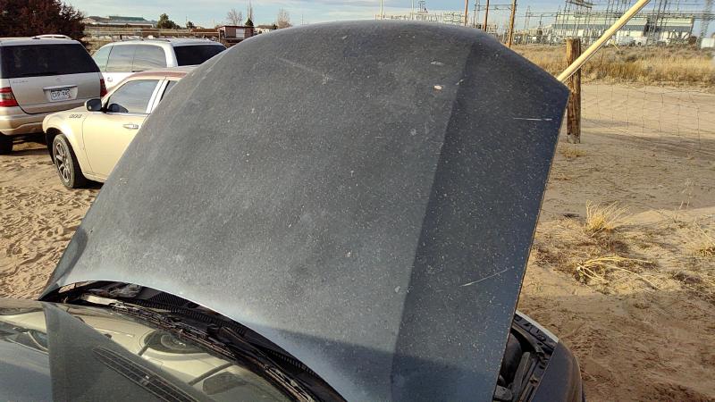 2001-2005 (discontinued) Passat Hood