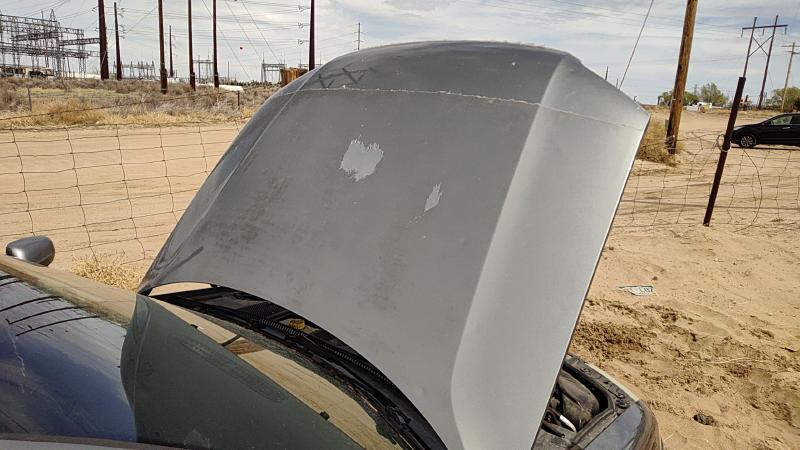 2001-2005 (discontinued) Passat Hood