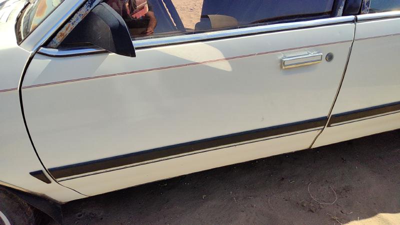 1982-1989 Buick Century Front Door LH
