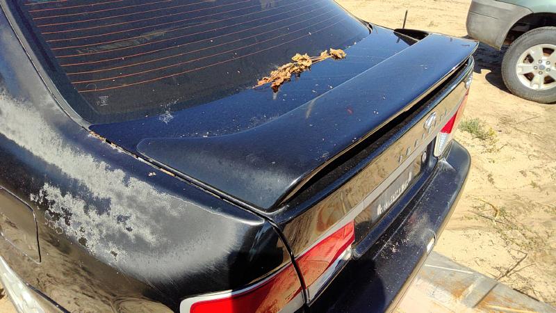 1999-2002 Infiniti G20 Trunk/Decklid/Hatch/Tailgate
