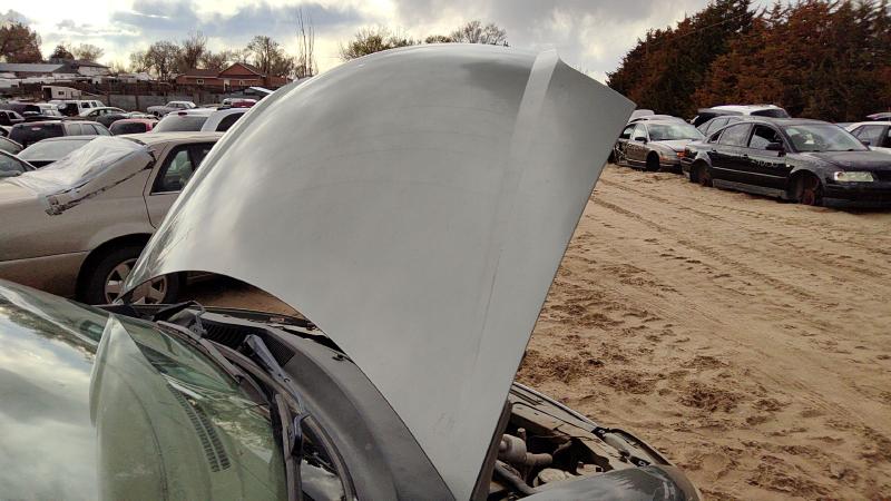 1999-2003 Ford Windstar Hood