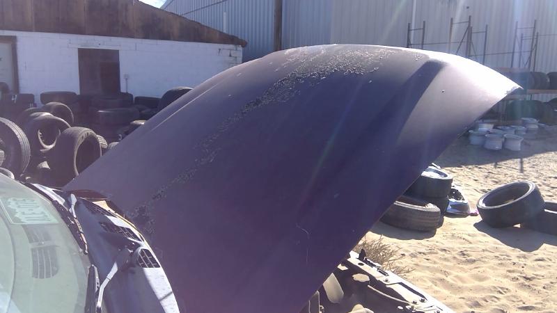 2002-2009 Chevrolet Trail Blazer (113 W.b.) Hood