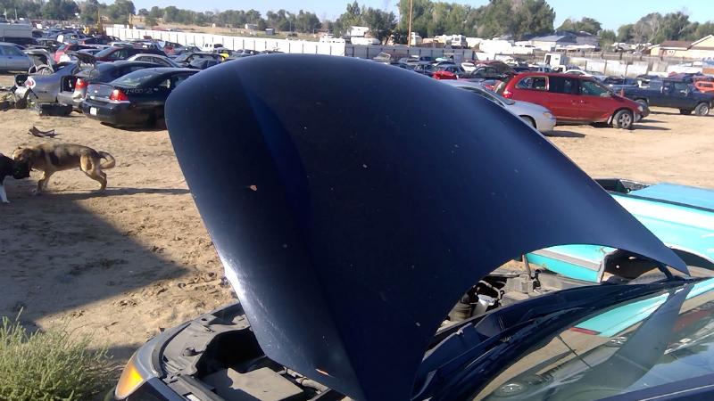 2011-2015 Kia Sorento Hood