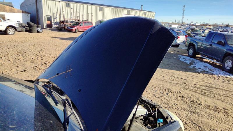 2001-2005 Hyundai Xg Series Hood
