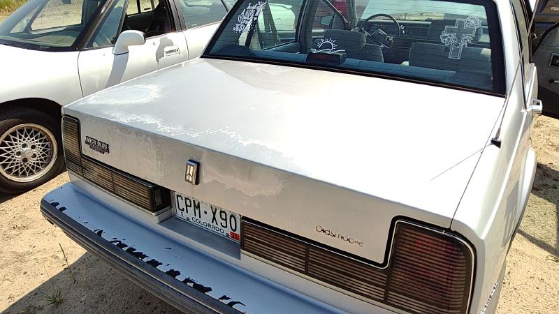 1986-1991 Oldsmobile Eighty-eight (80 & Up) Trunk/Decklid/Hatch/Tailgate