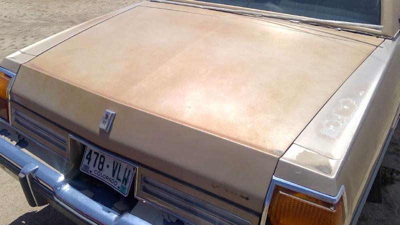 1980-1985 Oldsmobile Eighty-eight (80 & Up) Trunk/Decklid/Hatch/Tailgate
