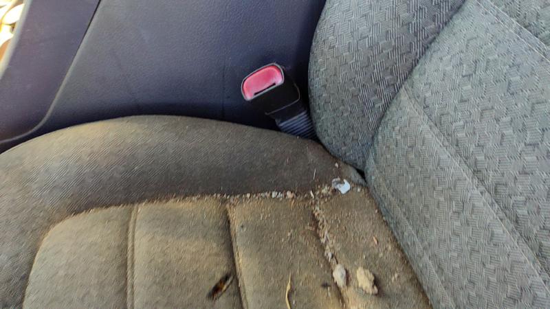 2002-2005 Explorer Front Seat Belt