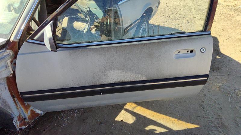 1982-1989 Pontiac Sunbird Front Door LH