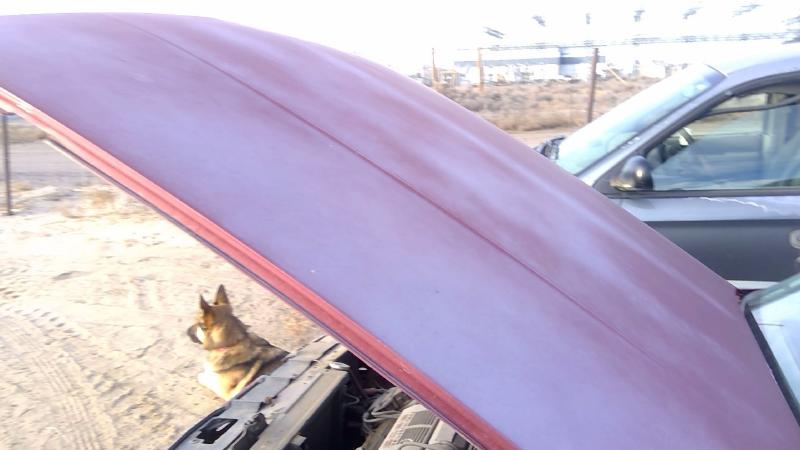 1985-1991 Oldsmobile Eighty-eight (80 & Up) Hood