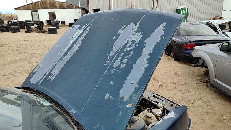 1989-1991 Oldsmobile Calais Hood