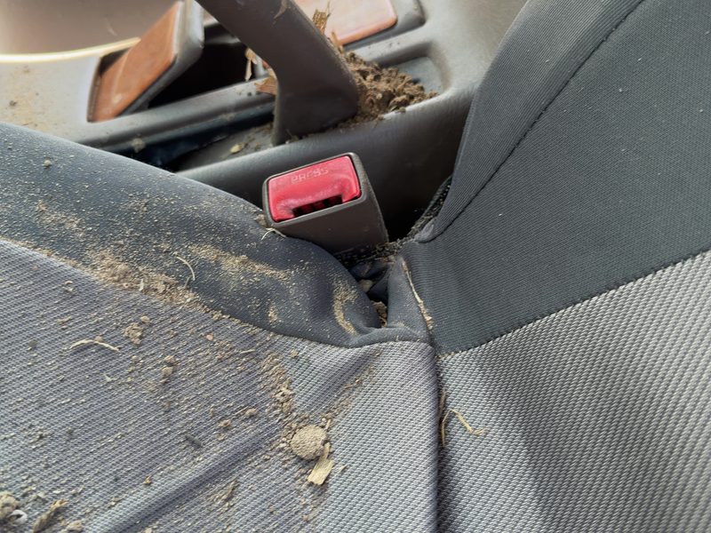 1999 Toyota Camry Front Seat Belt LH