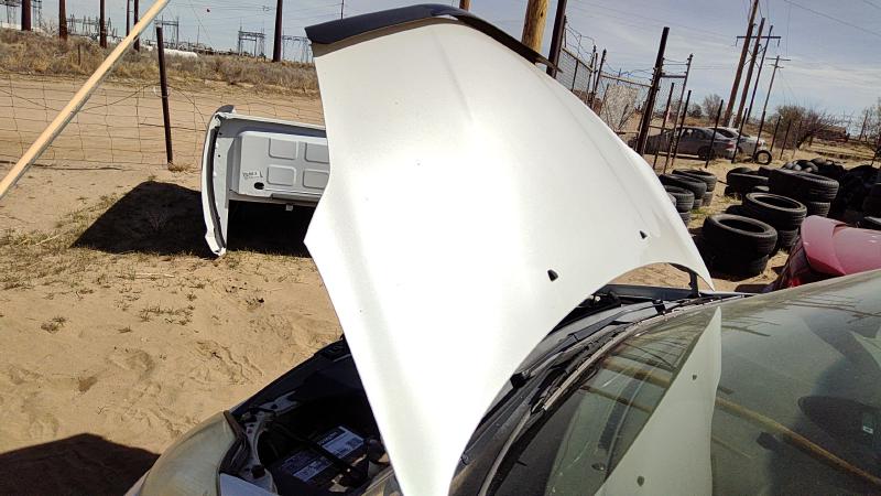 2004-2010 Toyota Sienna Hood