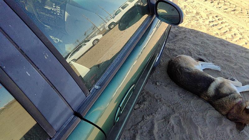 2000-2007 Ford Taurus(see Also Taurus X) Front Door RH