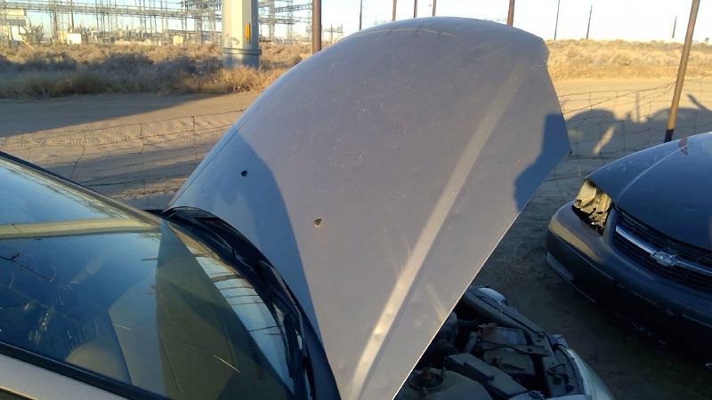 2004-2005 Honda Civic (see Also Delsol & Crx) Hood