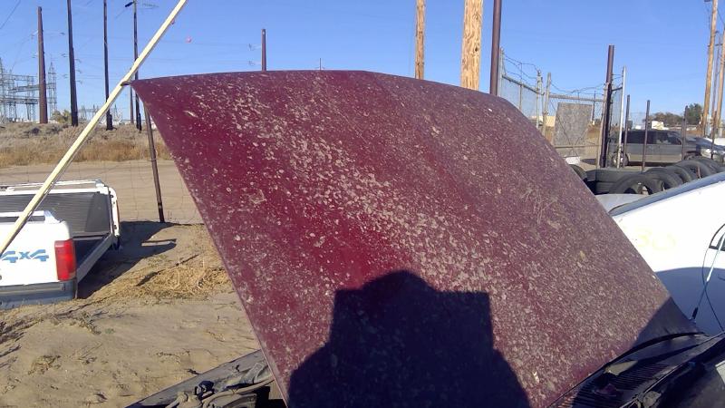 1981-1987 Isuzu Pickup Hood