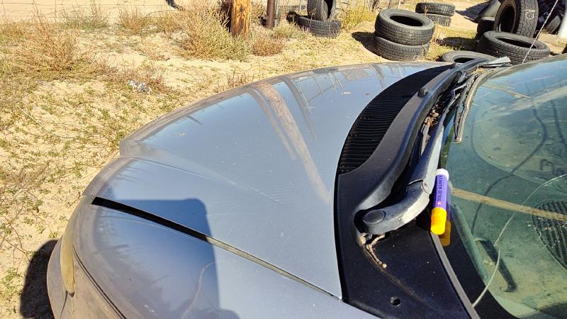 2001-2007 Dodge Caravan Hood