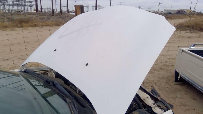 1996-1999 Ford Taurus(see Also Taurus X) Hood