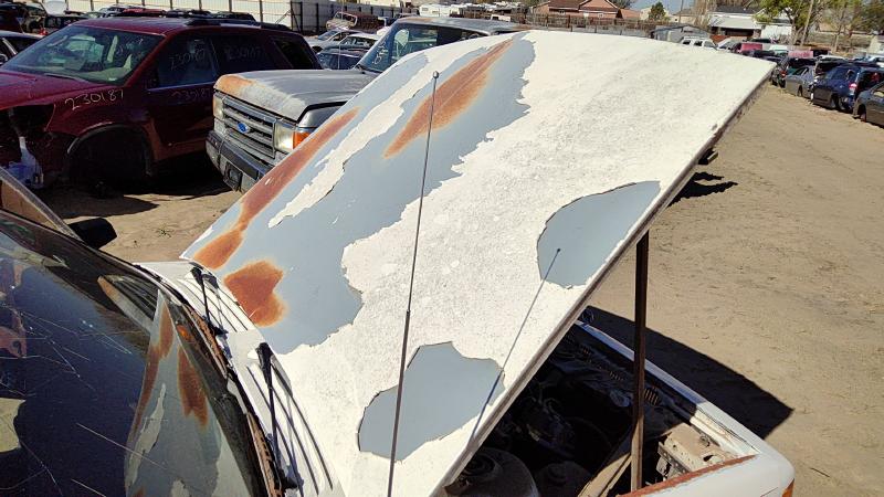 1982-1996 Buick Century Hood