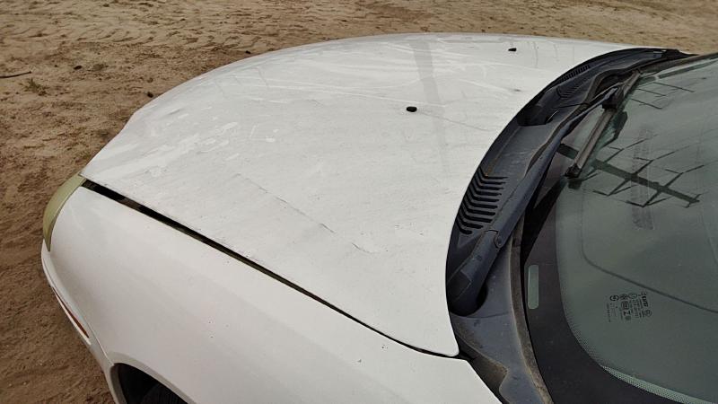 2000-2005 Sable (mercury) Hood