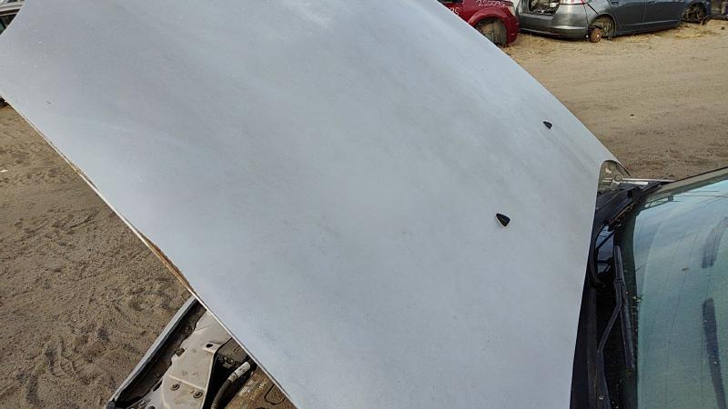 1996-1999 Ford Taurus(see Also Taurus X) Hood