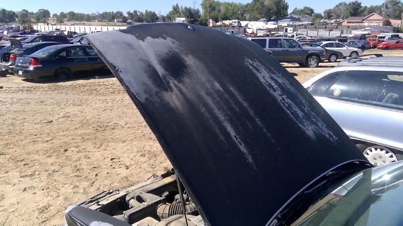 1991-1996 Buick Park Avenue (80&up) Hood