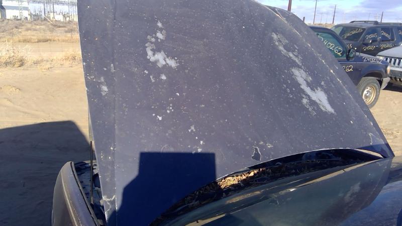 1997-2005 Buick Park Avenue (80&up) Hood