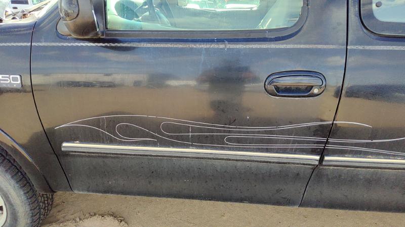 1997-1999 Ford Pickup F150 Series Front Door LH