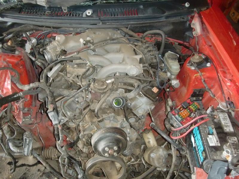 1999-2004 Mustang Rear Bumper Assembly
