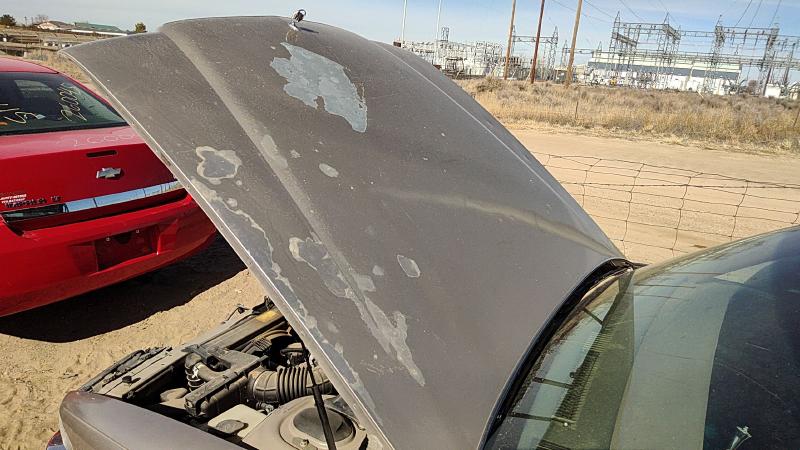 1991-1996 Buick Park Avenue (80&up) Hood