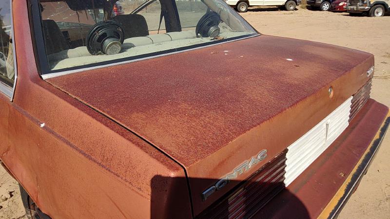 1982-1989 Pontiac Sunbird Trunk/Decklid/Hatch/Tailgate