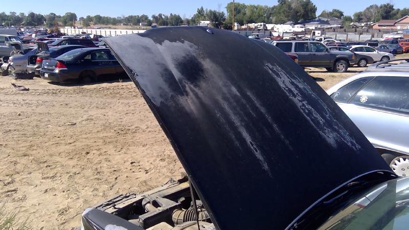 1991-1996 Buick Park Avenue (80&up) Hood