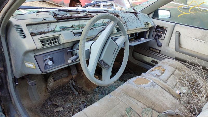 1985-1988 Pontiac 6000 Trunk/Decklid/Hatch/Tailgate