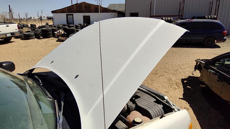 2002-2005 Explorer Hood