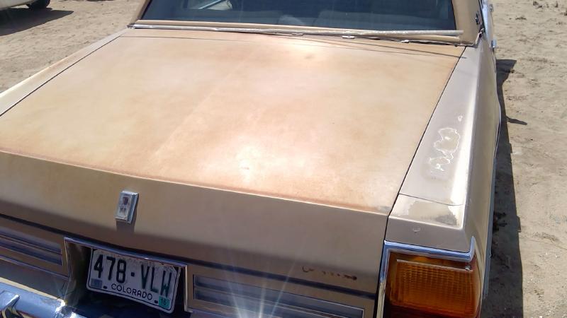 1980-1985 Oldsmobile Eighty-eight (80 & Up) Trunk/Decklid/Hatch/Tailgate