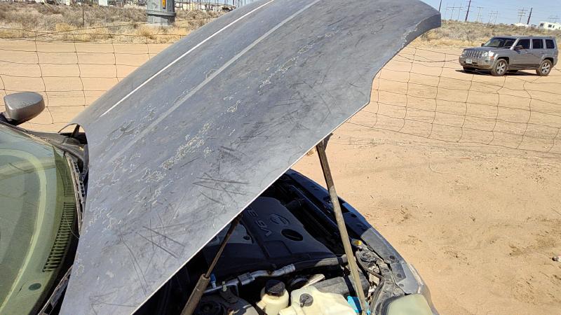 2004-2006 Nissan Maxima Hood